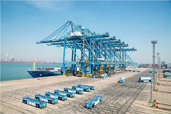 广州港南沙港区示范建设大湾区首个全自动码头
