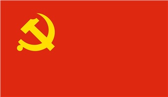 找问题，促改进，确保支部发挥战斗堡垒作用 ——中特物流铁兴党支部召开2020年度组织生活会
