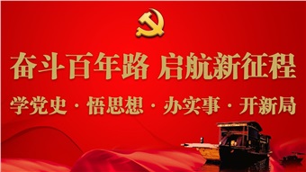 中特物流电力党支部开展党史学习教育常态化长效化专题学习